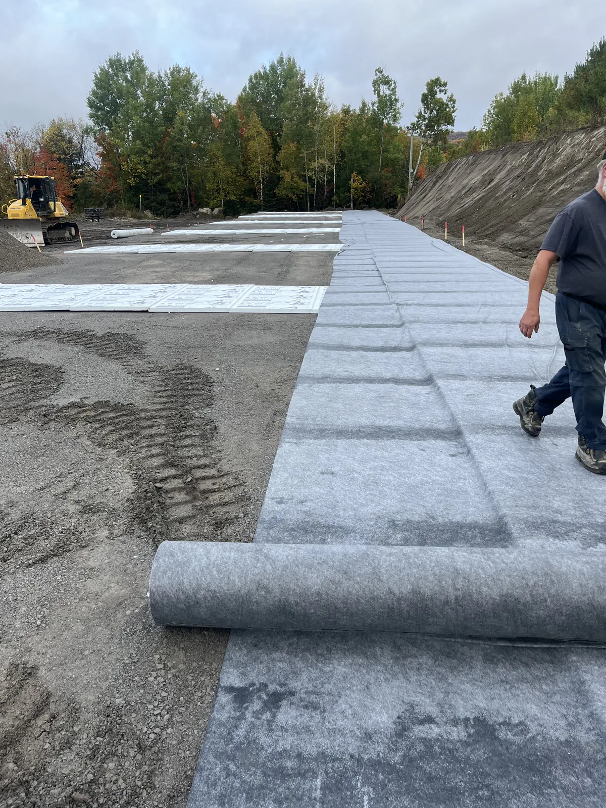 Soil reinforcement